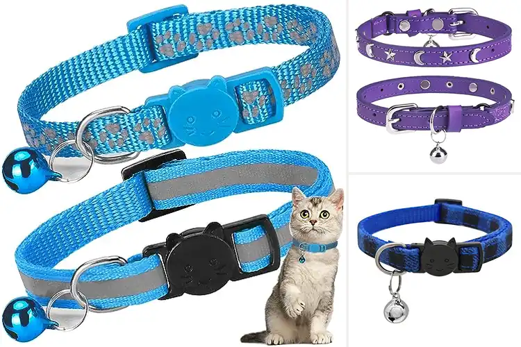 Detailed view of Best 10 Inch Cat Collar: Top Picks for Safety & Style