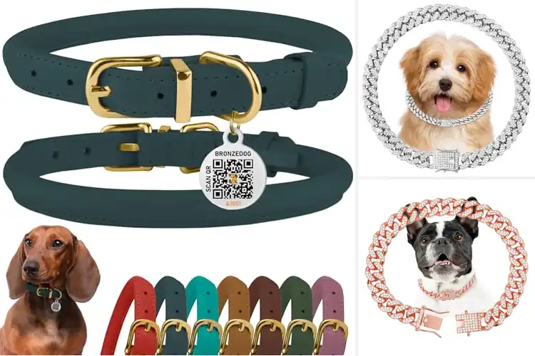 Detailed view of Best 10 Inch Pet Collar Size: Stylish & Comfy Options