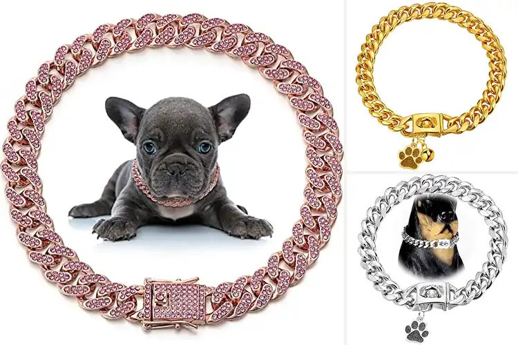 Detailed view of Best 12mm Pet Collars: Stylish, Strong & Comfortable Picks