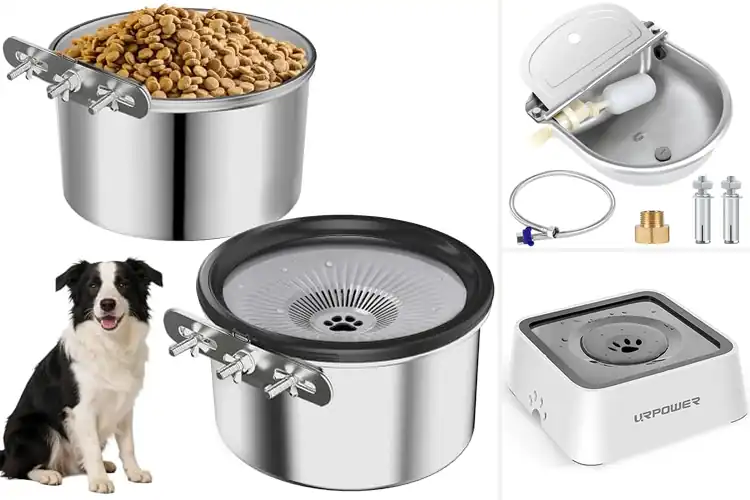 Detailed view of Best 2.5L Water Bowl For Animals