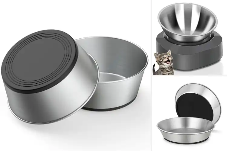 Detailed view of Best 304 Stainless Steel Water Bowl