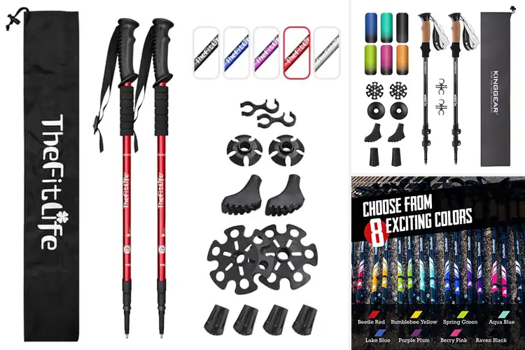 Detailed view of Best Adjustable Hiking Poles