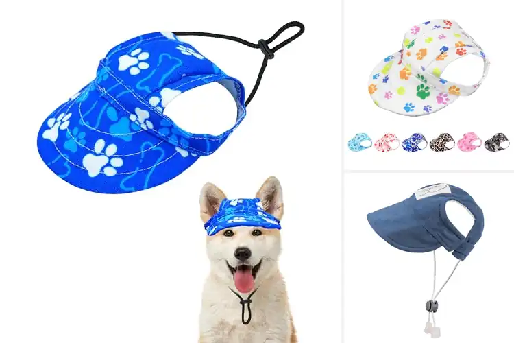 Detailed view of Best Adjustable Pet Cap For Puppies And Adults
