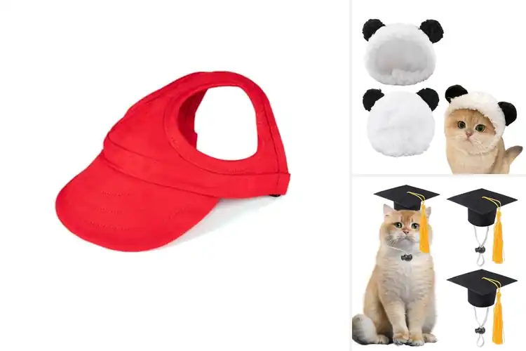 Detailed view of Best Adjustable Pet Caps