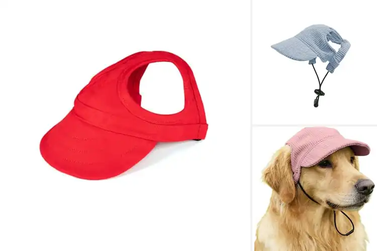 Detailed view of Best Adjustable Pet Hat Fit