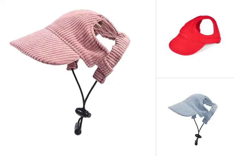 Detailed view of Best Adjustable Pet Hat Size: Top 10 Picks for a Perfect Fit
