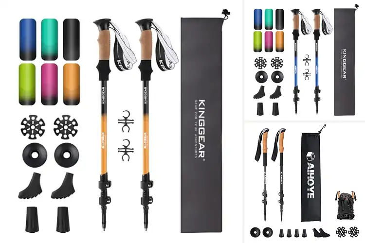 Detailed view of Best Adjustable Trekking Poles With Flip-Locks