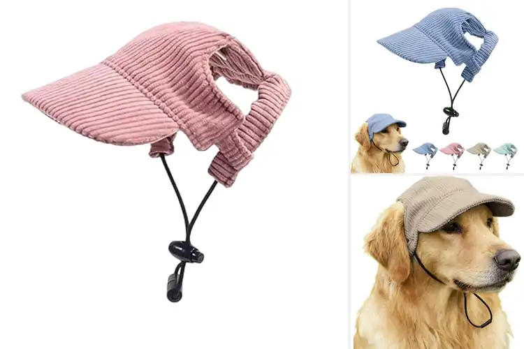 Detailed view of Best All Season Dog Visor Hats