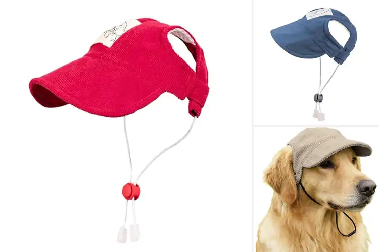 Detailed view of Best All-Season Pet Baseball Cap For Dogs And Cats