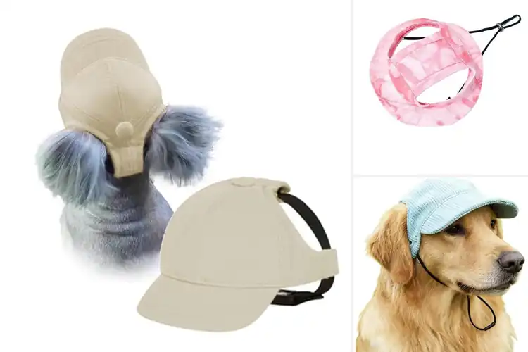 Detailed view of Best All-Season Pet Hat