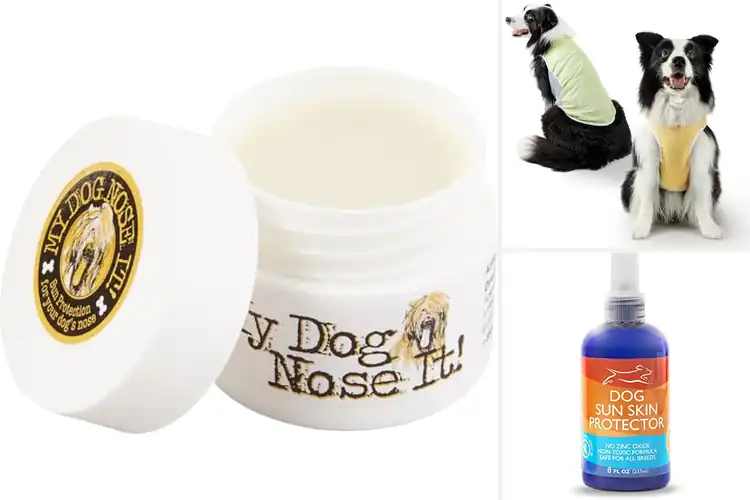 Detailed view of Best All Season Sun Protection For Pets