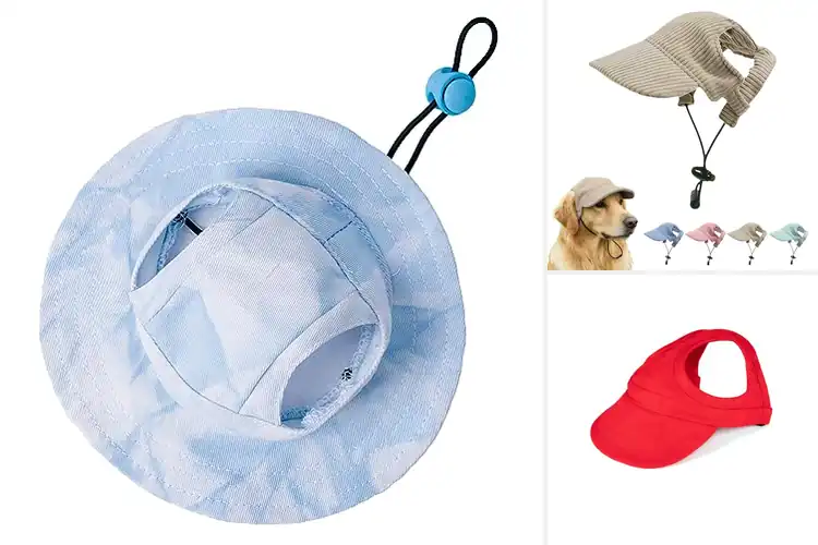 Detailed view of Best AllSeason Pet Hats