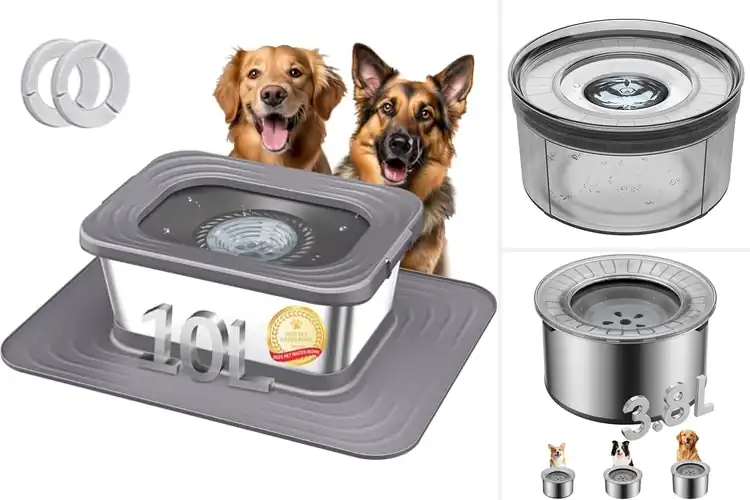 Detailed view of Best Anti Contamination Water Bowl For Animals