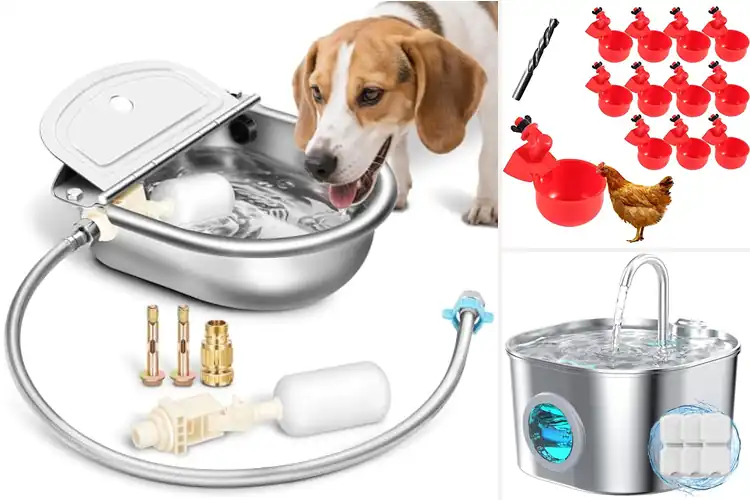 Detailed view of Best Automatic Drinking Bowls