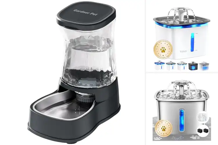 Detailed view of Best Automatic Pet Waterers