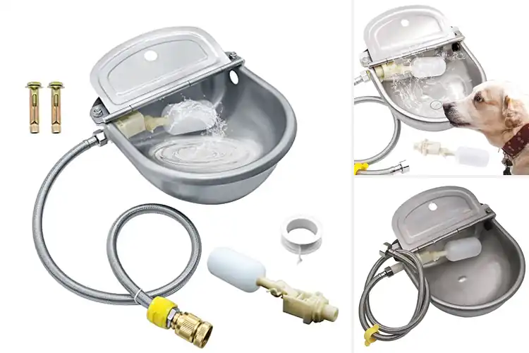 Detailed view of Best Automatic Waterer Bowl For Livestock