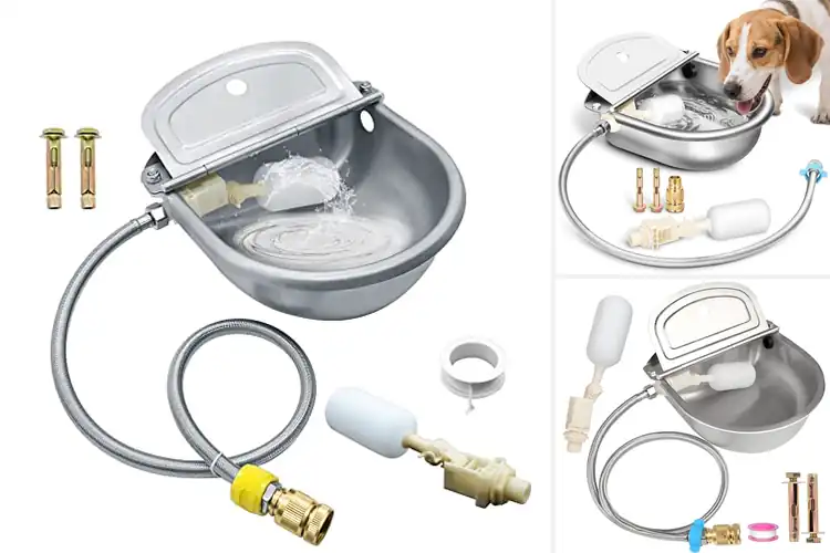 Detailed view of Best Automatic Waterer Bowl