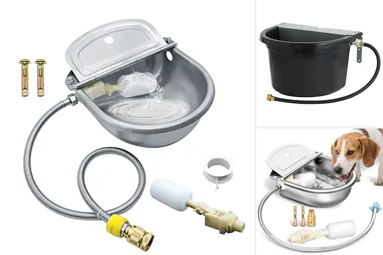 Detailed view of Best Automatic Waterers