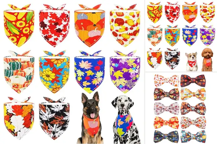 Detailed view of Best Autumn Pet Accessory: 10 Cozy & Stylish Fall Must-Haves