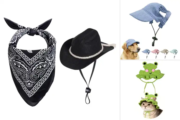 Detailed view of Best Autumn Pet Hat For Dogs And Cats