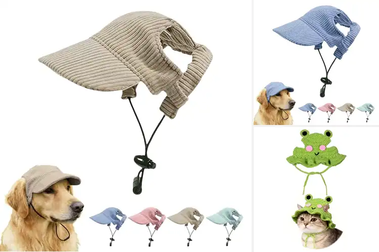 Detailed view of Best Autumn Pet Hats