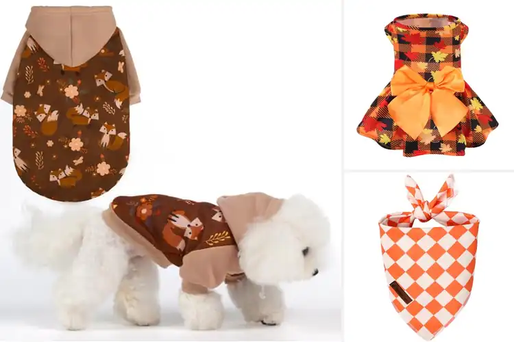 Detailed view of Best Autumn Pet Outfits: Cozy & Stylish Picks for Fall Walks