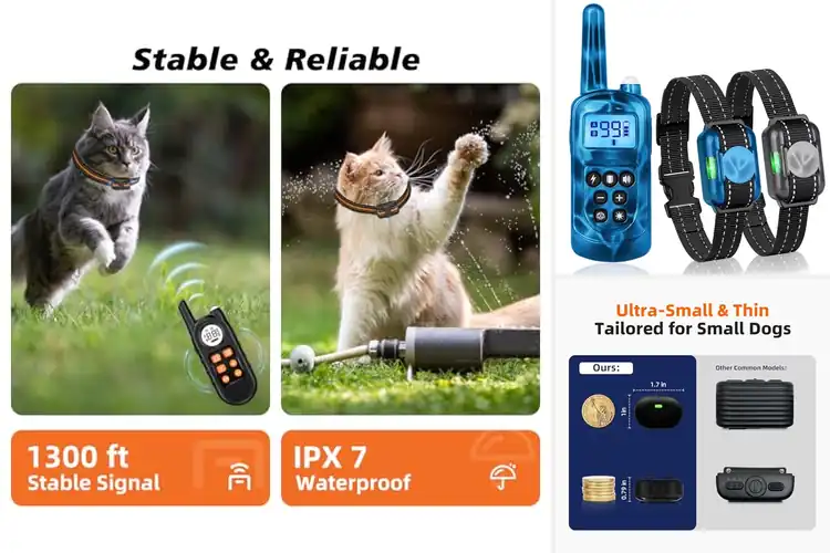 Detailed view of Best Cat And Small Pet Training Collar