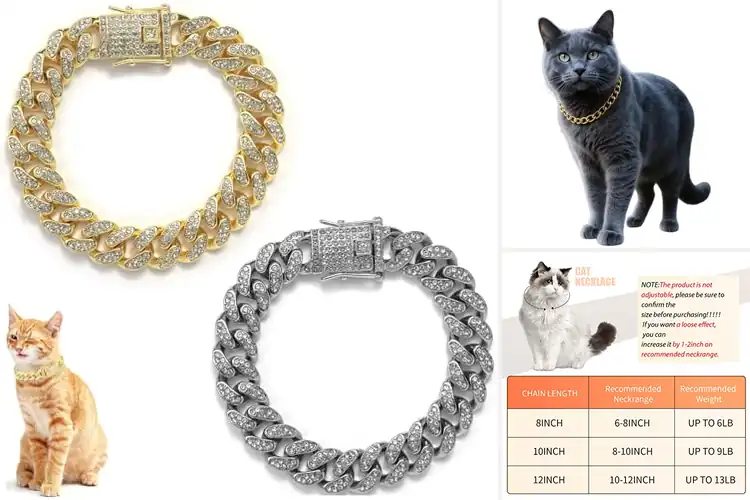 Detailed view of Best Cat Chain Collars