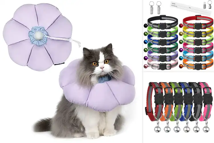 Detailed view of Best Cat Collars: Safety, Style, and Comfort for Your Feline