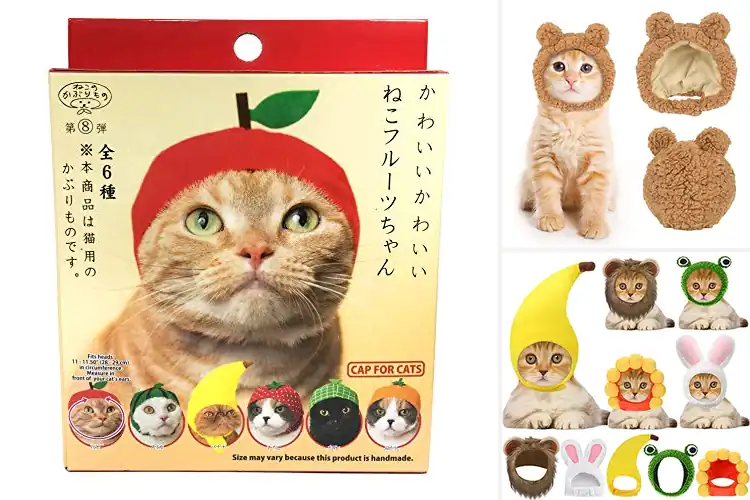 Detailed view of Best Cat Hats: 10 Adorable Options for Cozy, Stylish Felines