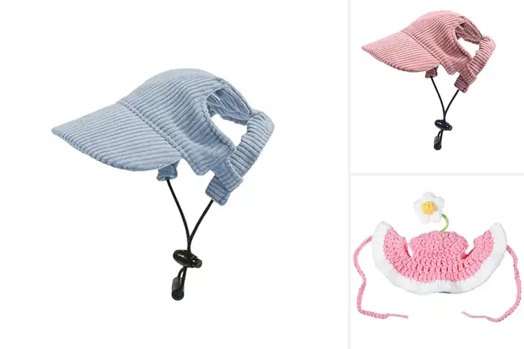 Detailed view of Best Cat Hats With Ear Holes: Adorable & Cozy Sun Protection
