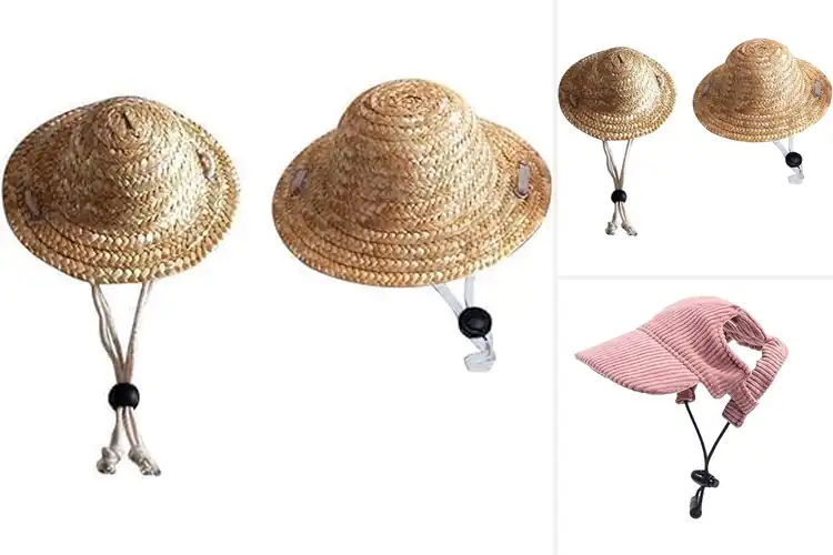 Detailed view of Best Cat Summer Hats