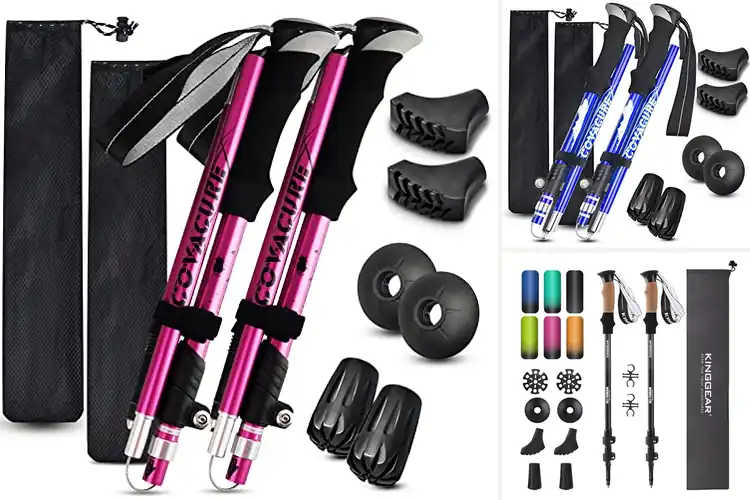 Detailed view of Best Collapsible Hiking Poles