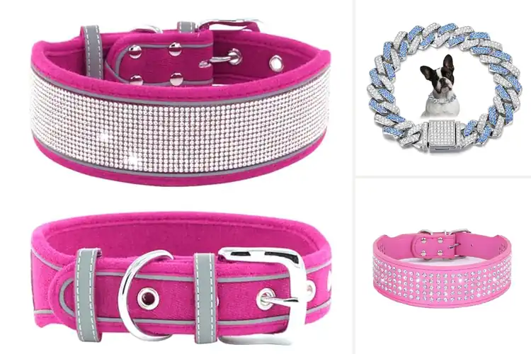 Detailed view of Best Crystal Dog Collars