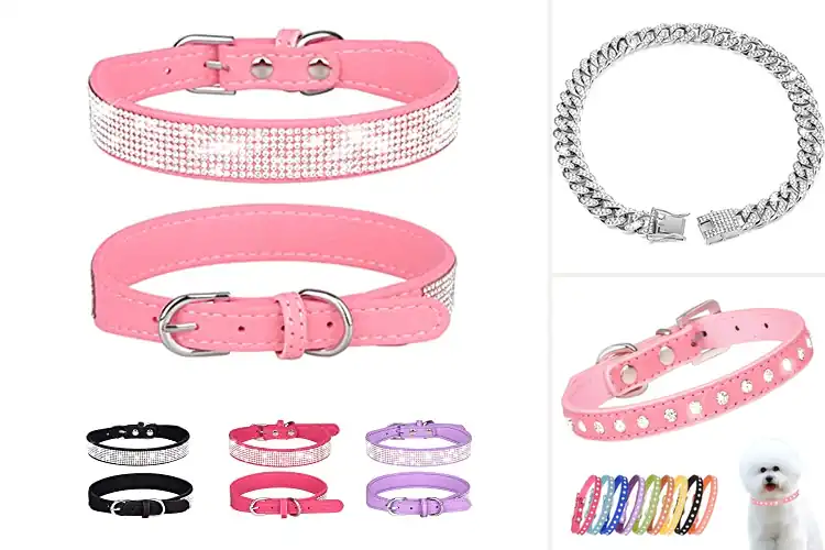 Detailed view of Best Diamond Dog Collars