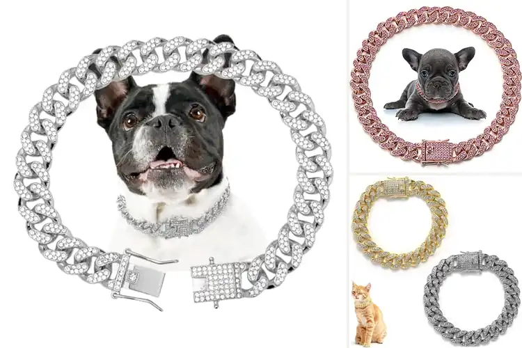 Detailed view of Best Diamond Link Collars