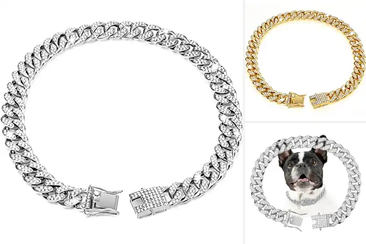 Detailed view of Best Diamond Link Dog Collar Style