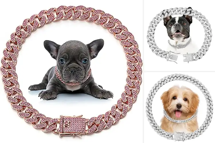 Detailed view of Best Diamond Link Pet Collars