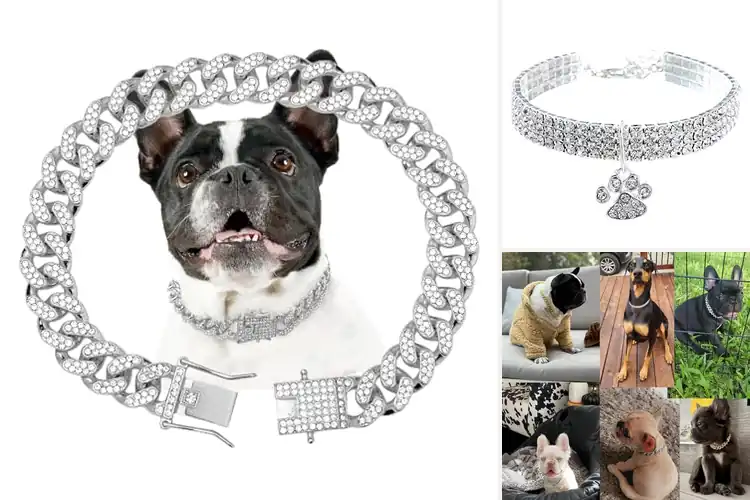 Detailed view of Best Diamond Pet Collars: Sparkling Comfort & Style for Pets