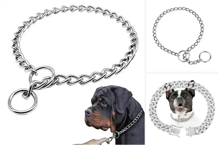 Detailed view of Best Dog Chain Collars: Top 10 Durable & Stylish Picks