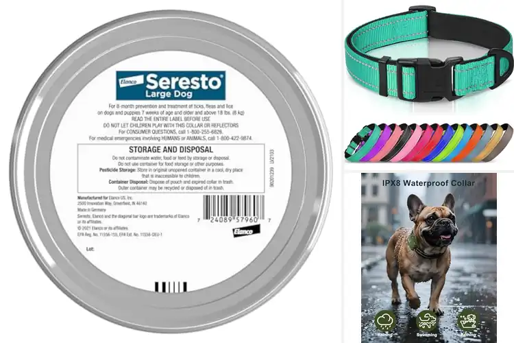 Detailed view of Best Dog Collars: Safety, Style, and Comfort for Your Pup