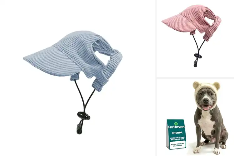 Detailed view of Best Dog Hats With Ear Holes