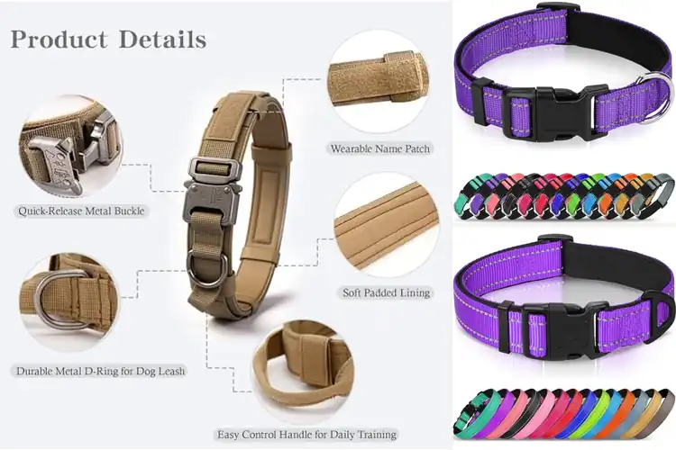 Detailed view of Best Durable Collars: Top Picks for Safety & Comfort