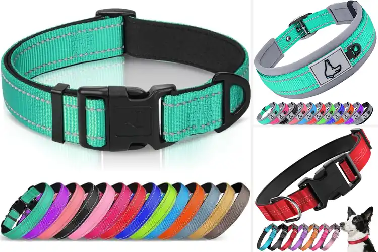 Detailed view of Best Durable Pet Collars