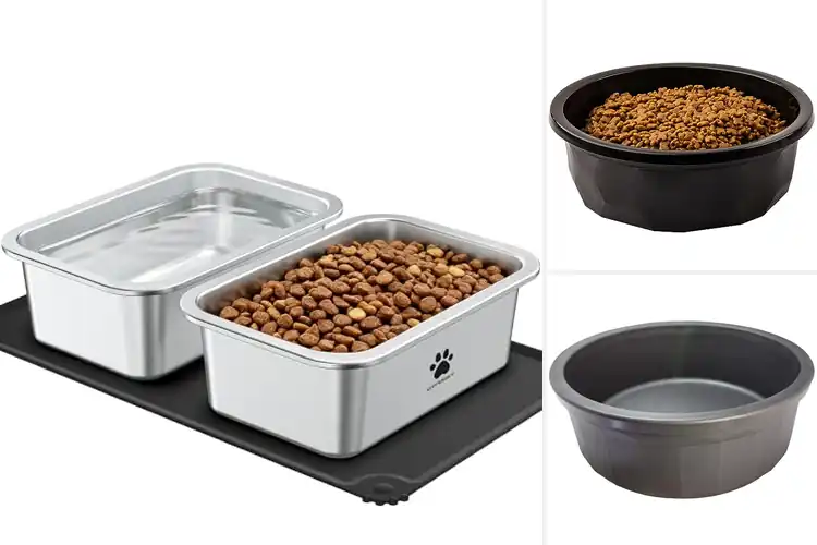 Detailed view of Best Durable Water Bowls