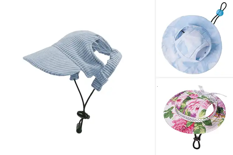 Detailed view of Best Ear Hole Pet Hat Design