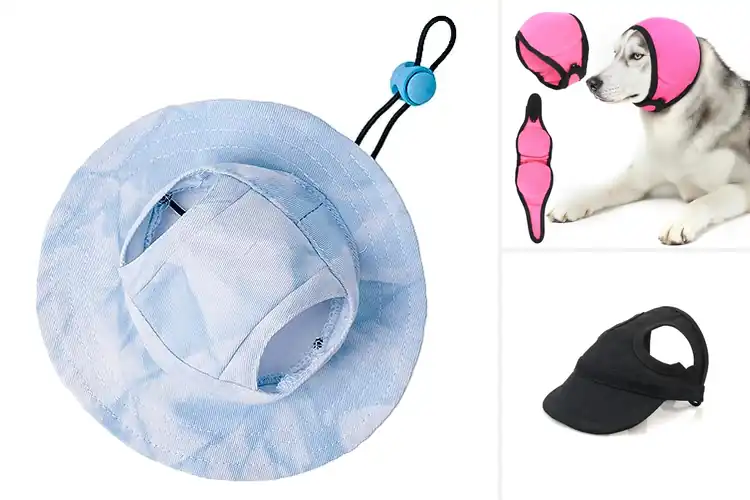 Detailed view of Best EarHole Pet Caps