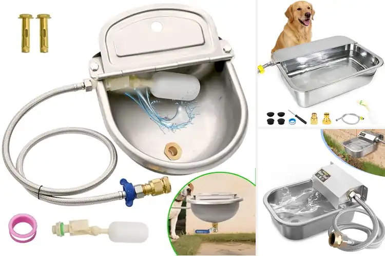 Detailed view of Best Easy Install Water Bowl With Drain