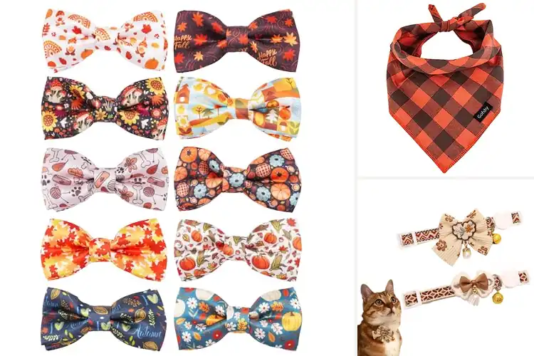 Detailed view of Best Fall Pet Accessories: Safe, Cozy, & Stylish Autumn Gear