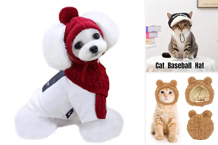 Detailed view of Best Fall Pet Hats